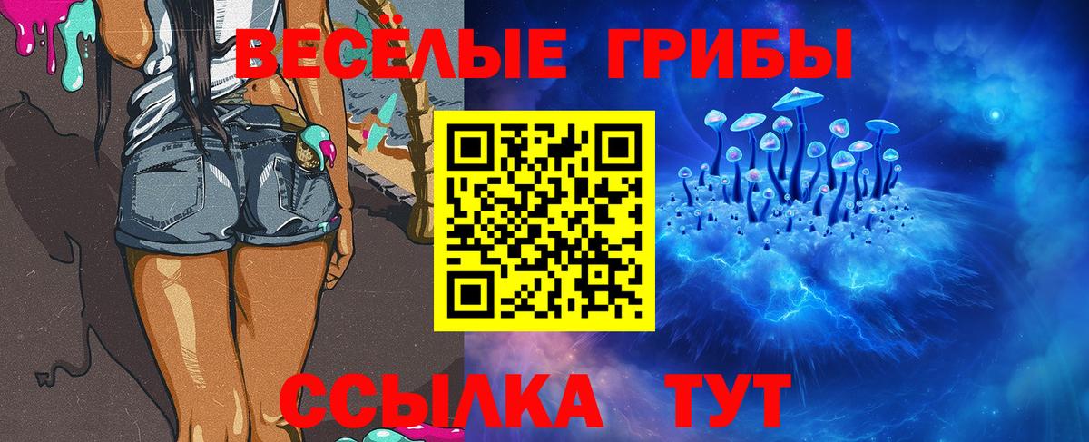 Галлюциногенные грибы Cubensis Армавир